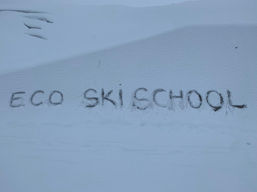 Eco Skischool Andermatt景点图片