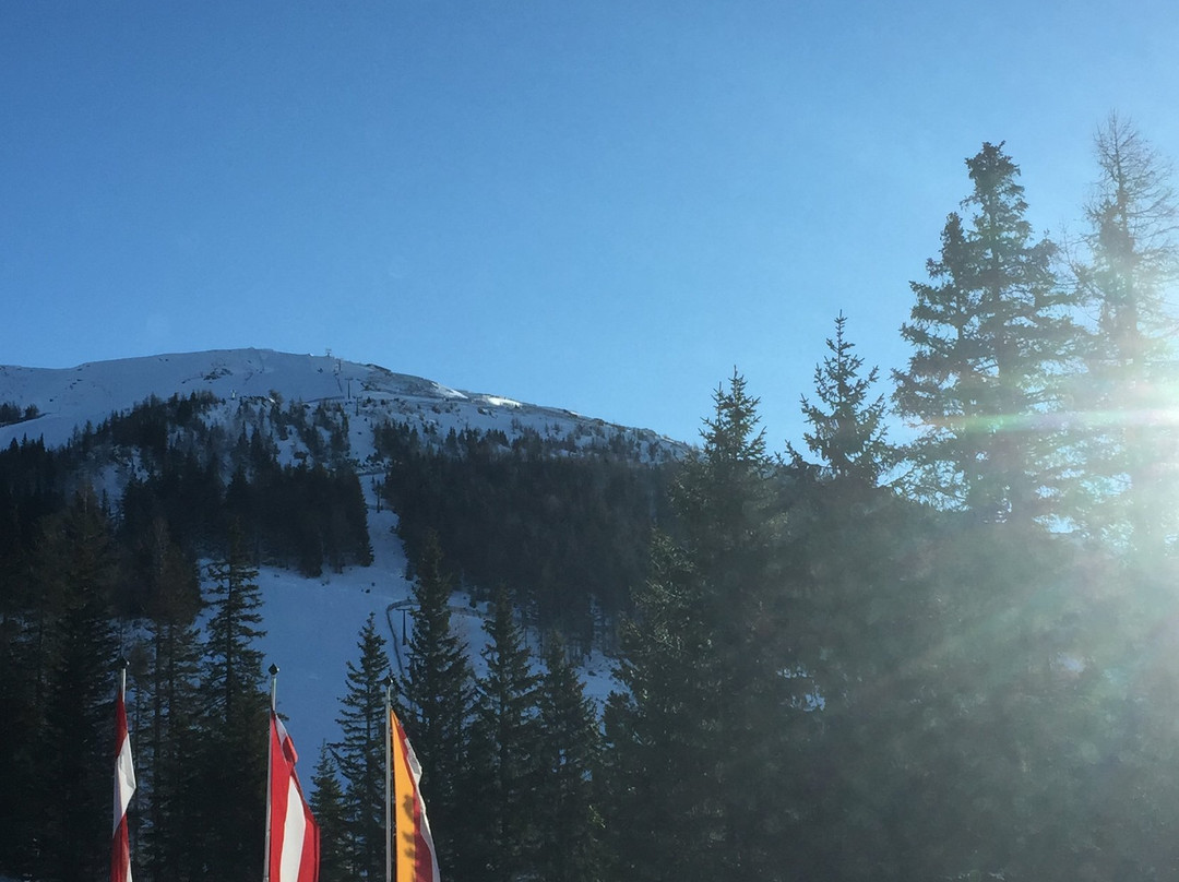 Familienhotel Hinteregger主图