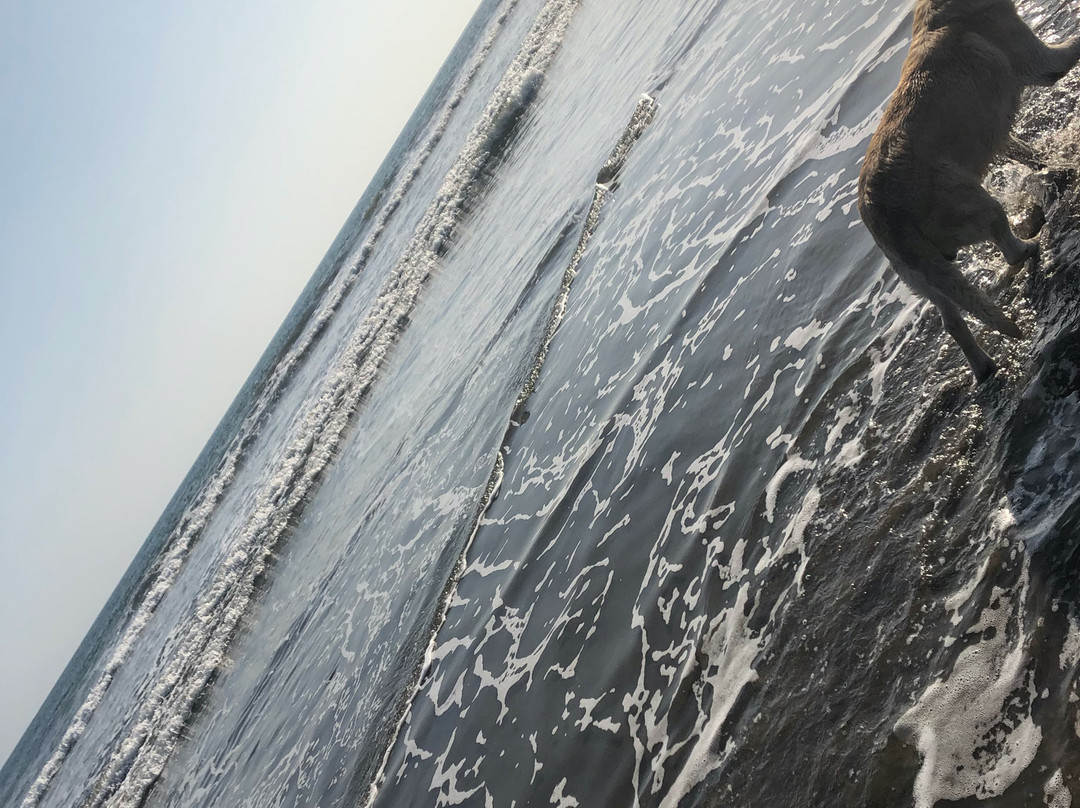 Hotel Paraiso del Cocodrilo主图