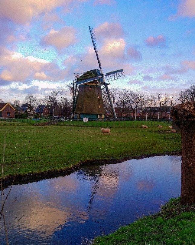 Molen De Vlieger-福尔堡必去景点
