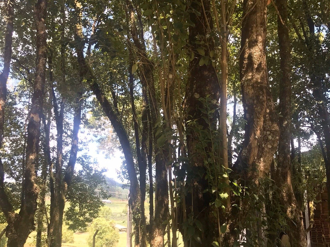 Pousada Colonial De Rossi主图