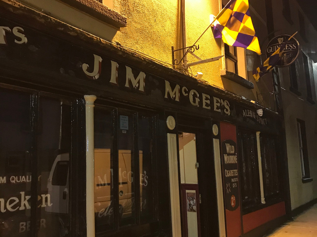 Jim McGee's Traditional Bar and Guest Accommodation主图
