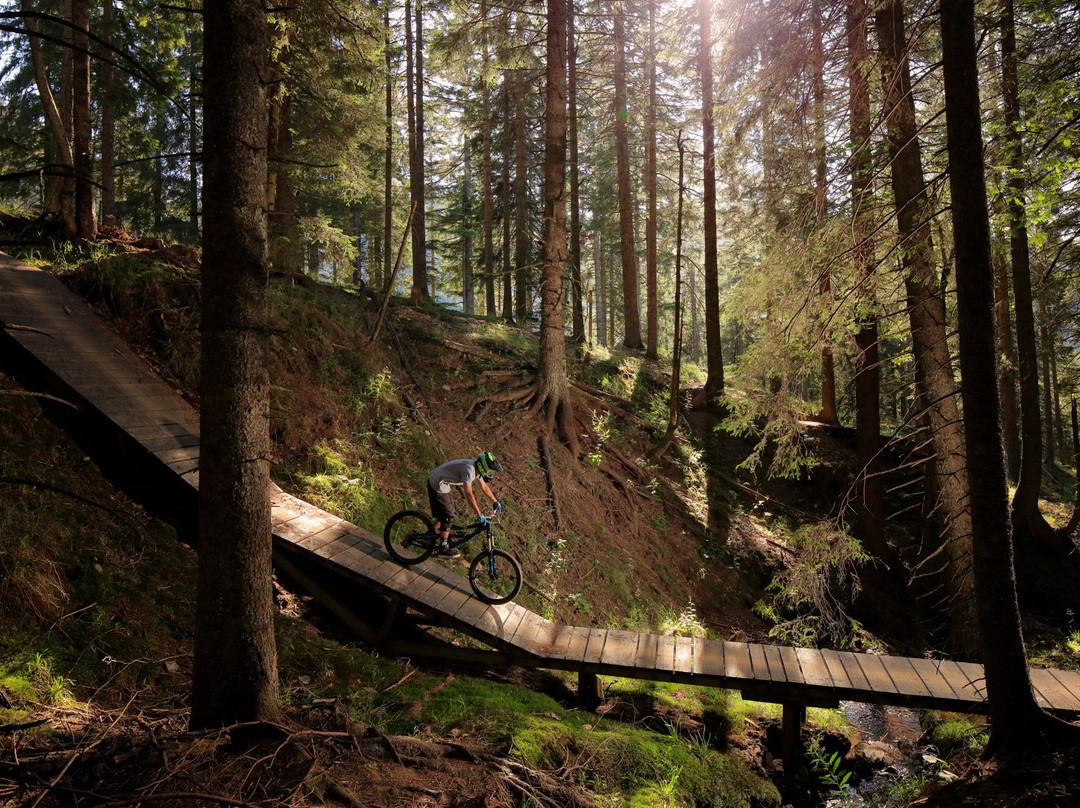 Rogla Bike Park-Zrece必去景点