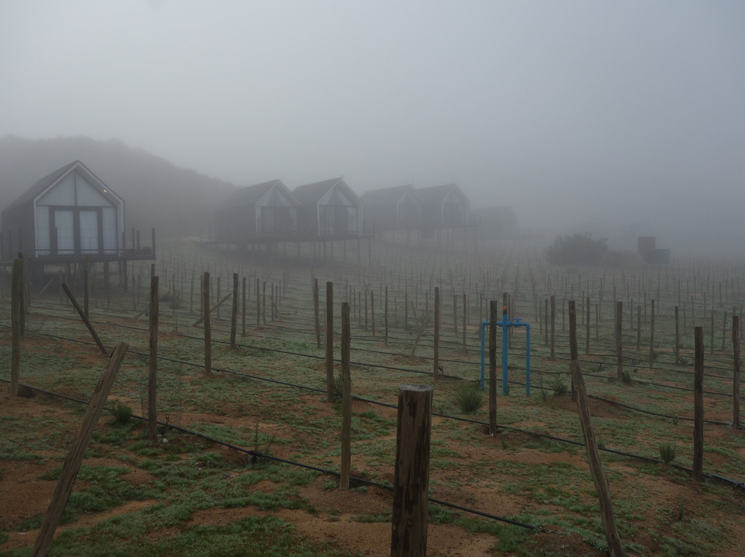 Oeno Wine Lodge主图