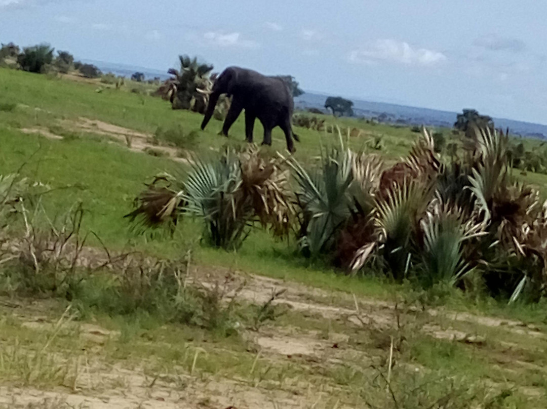 Sasa Holidays Limited-Wakiso必去景点