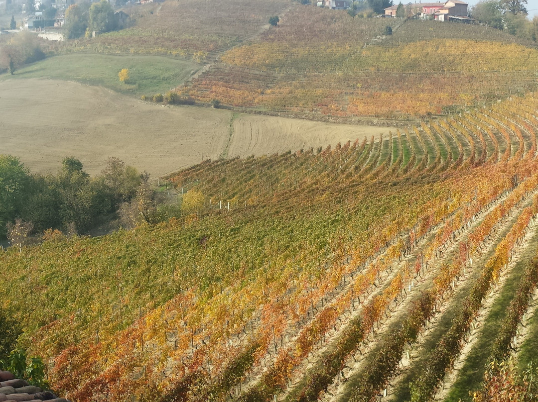 Azienda Agricola Serra Domenico-Agliano Terme必去景点