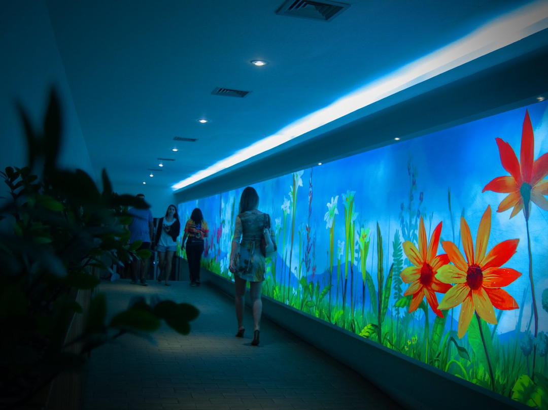 Alameda Shopping-Taguatinga必去景点