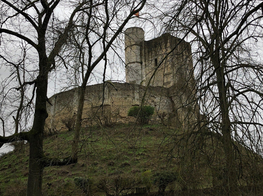 Chateau Fort de Gisors景点图片