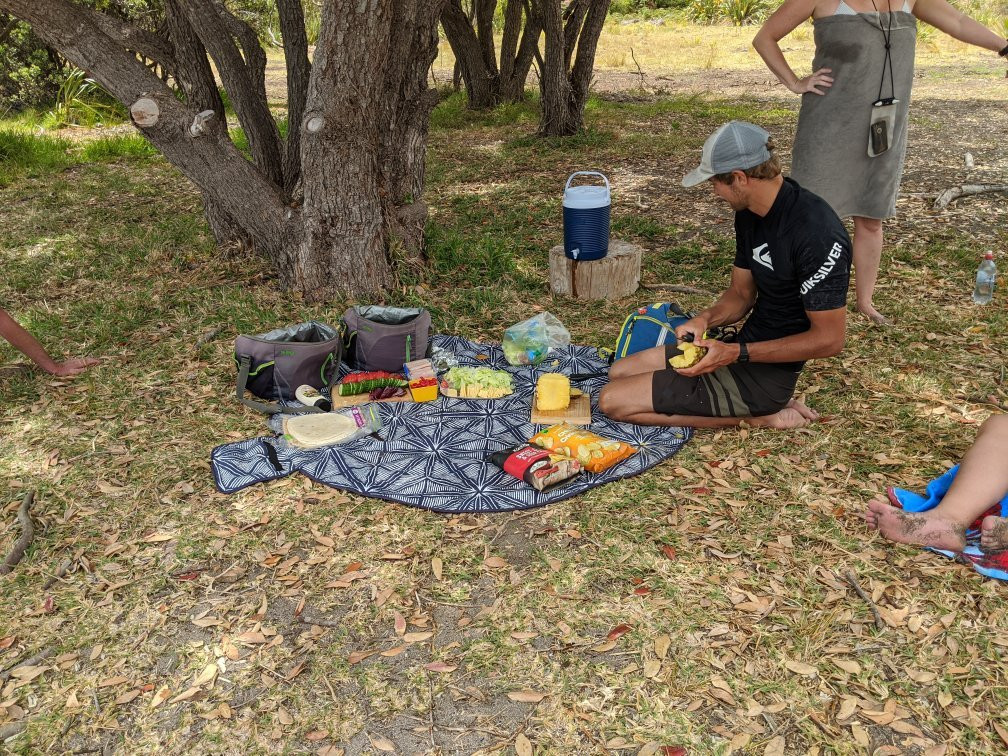 Bay of Islands Kayaking-派希亚必去景点