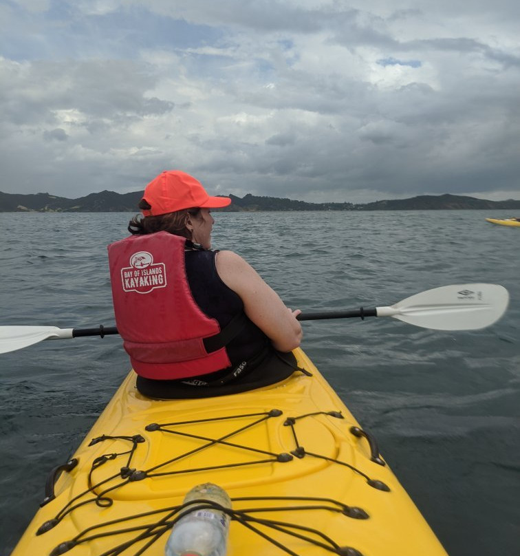 Bay of Islands Kayaking-派希亚必去景点