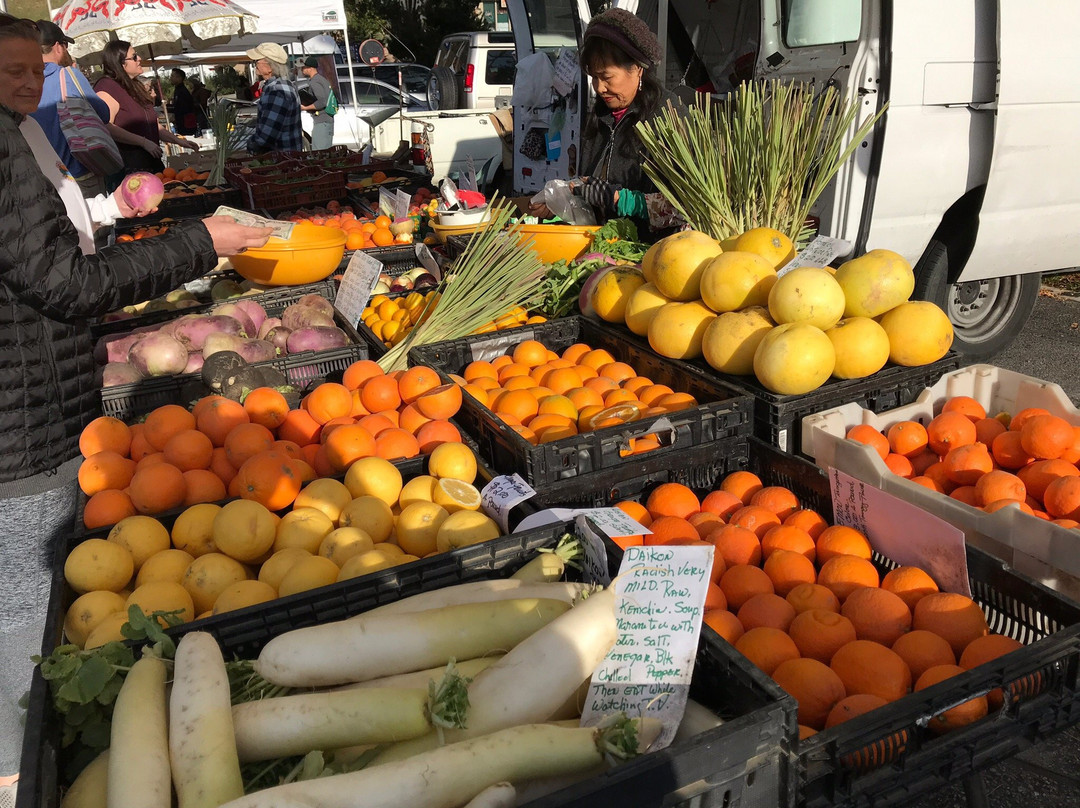 Cambria Farmers Market-坎布里亚必去景点