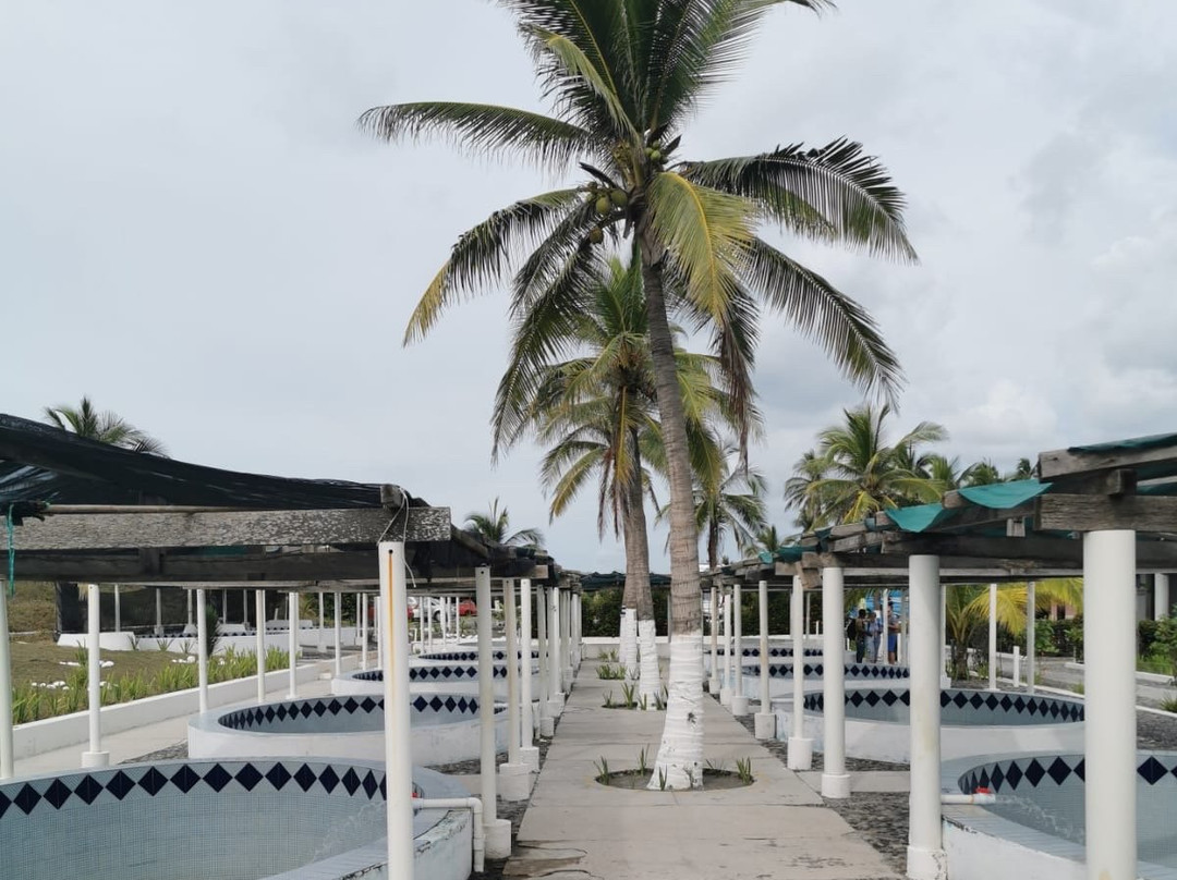 El Tortugugario-Cuyutlan必去景点