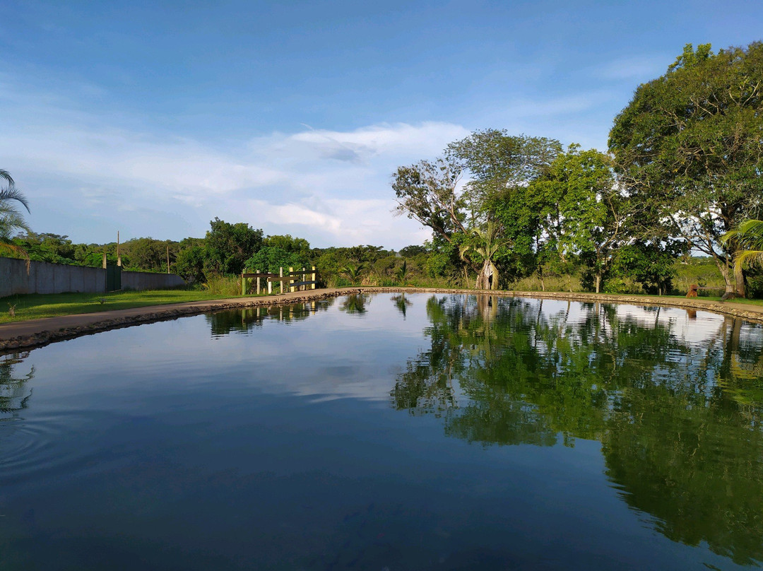 Pirizal Thermas Club景点图片