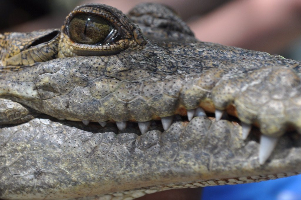 Parque Ecoturistico Jaltun-塞莱斯顿必去景点