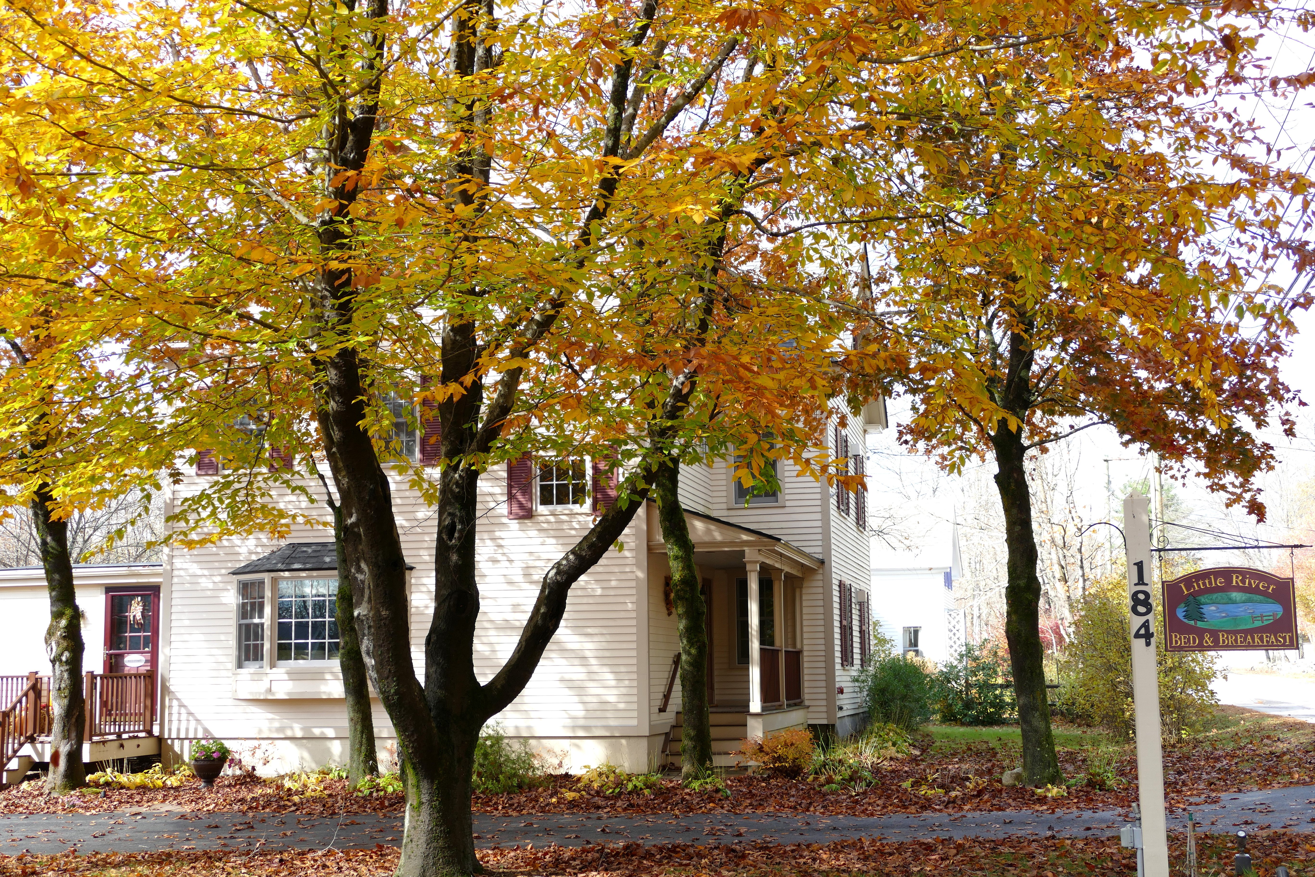 Little River Bed and Breakfast-官方