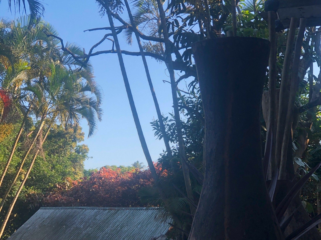 The Elephants Tusk主图