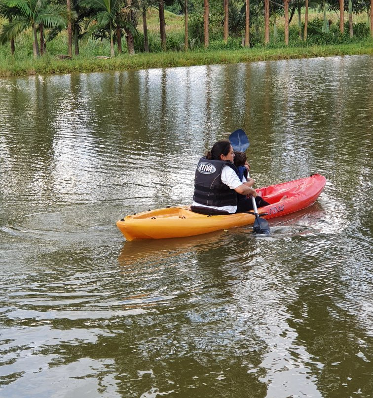 Pousada do Bosque主图
