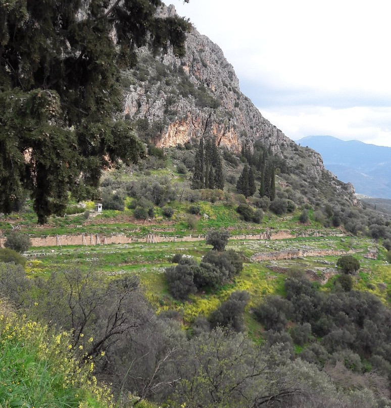 Taxidelphi-Itea必去景点