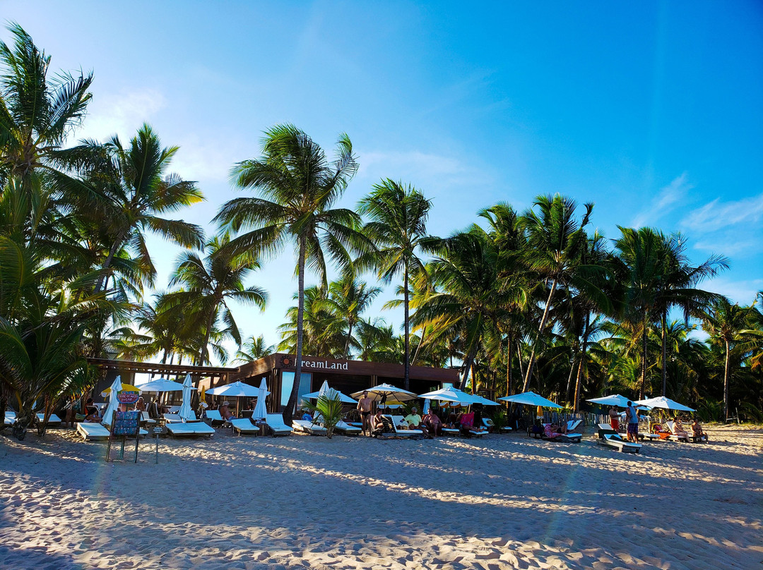 Dreamland Bungalows主图