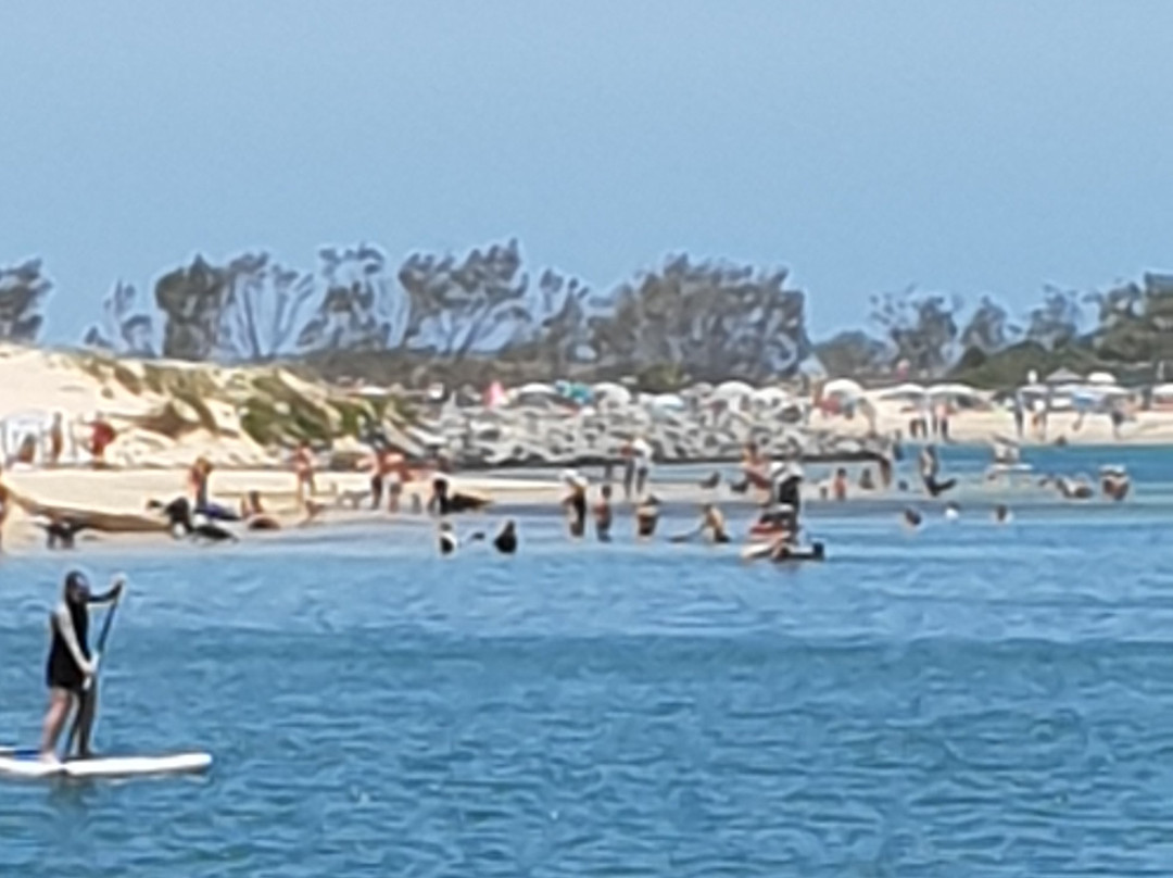 Palm Beach Parklands-棕榈海滩必去景点