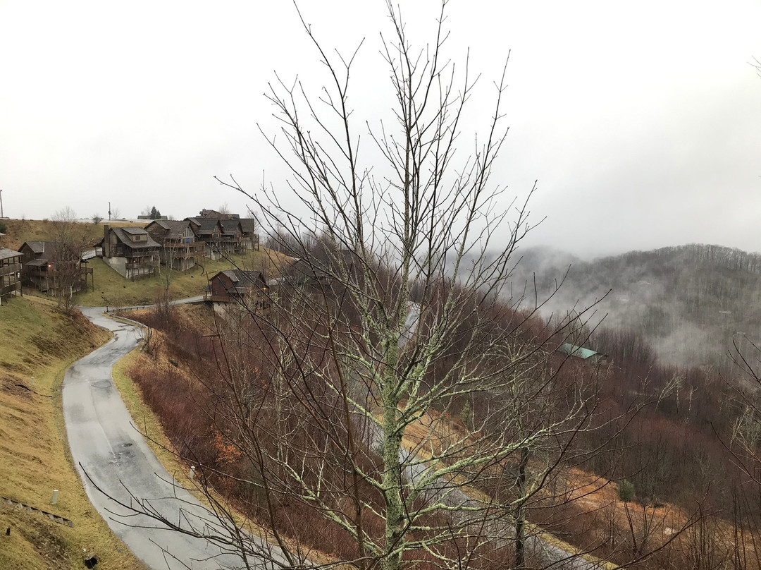 Scenic Wolf Mountain Cabins主图