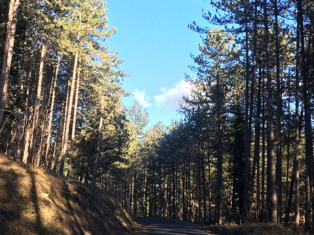 GranNoce Bed and Breakfast主图