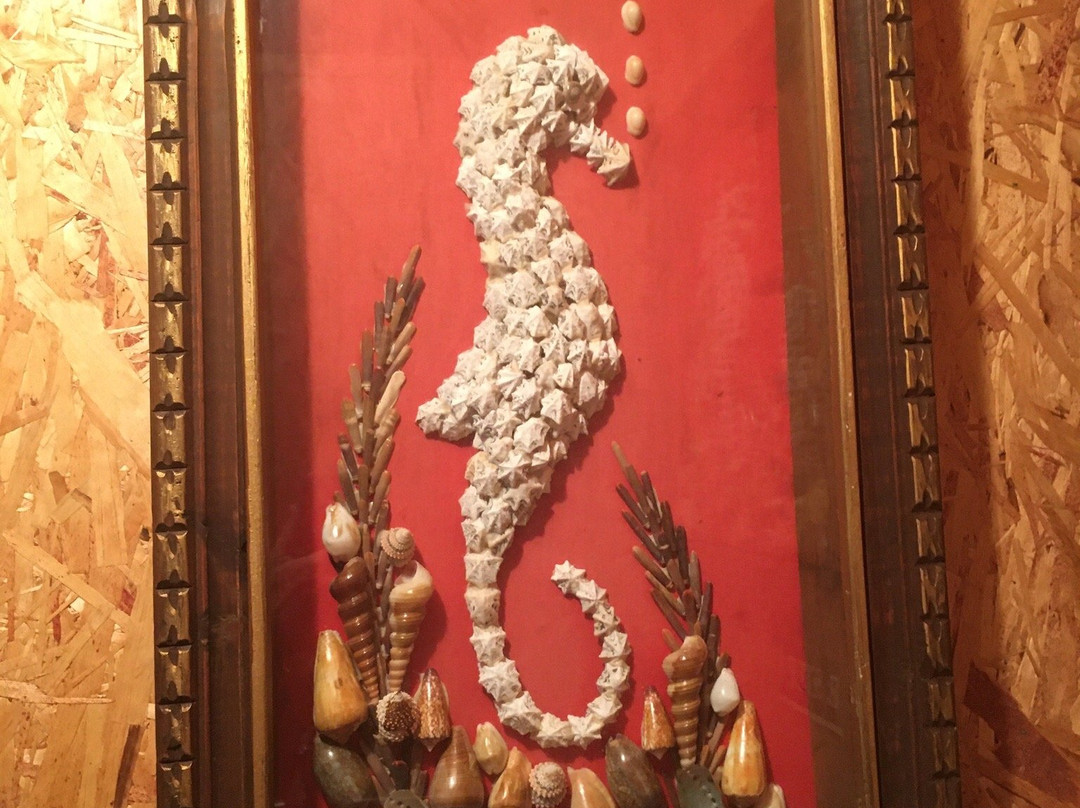 Busted Pot Junk Museum & Wells Discount Center-罗克波特必去景点