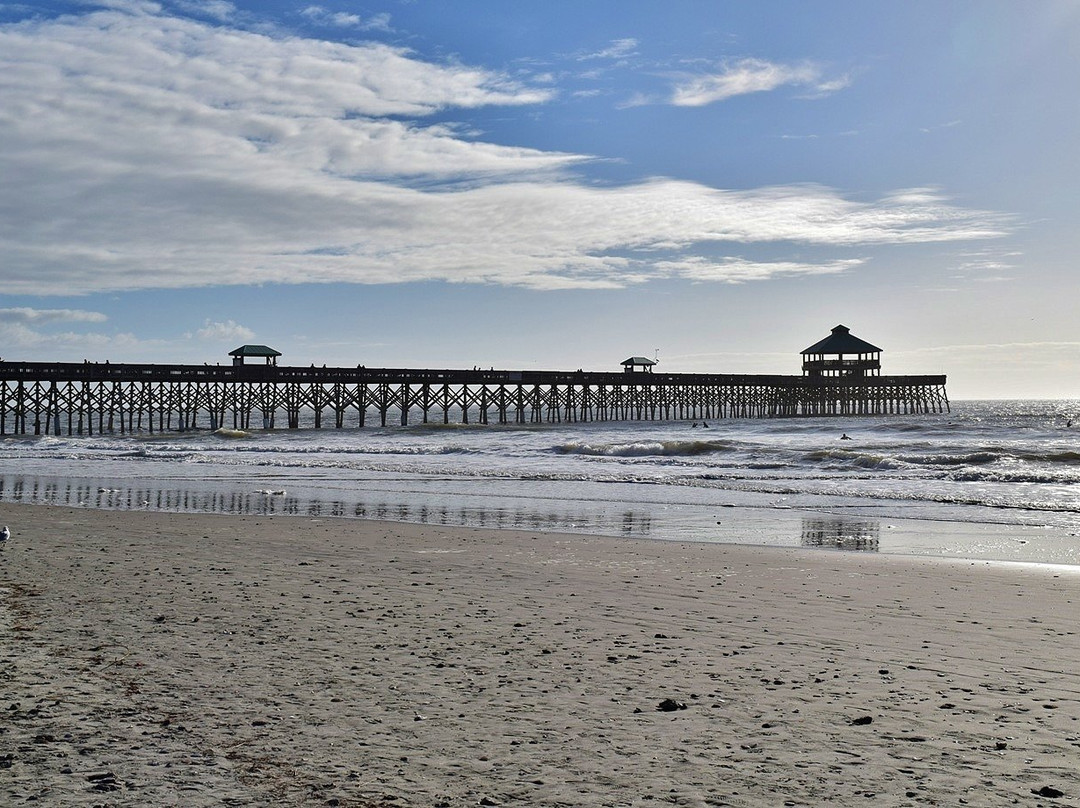 Folly Beach County Park景点图片