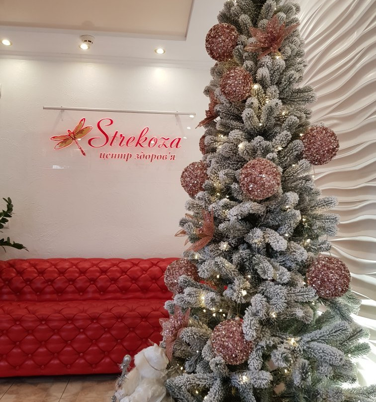 Health Center Strekoza-特鲁斯卡韦茨必去景点