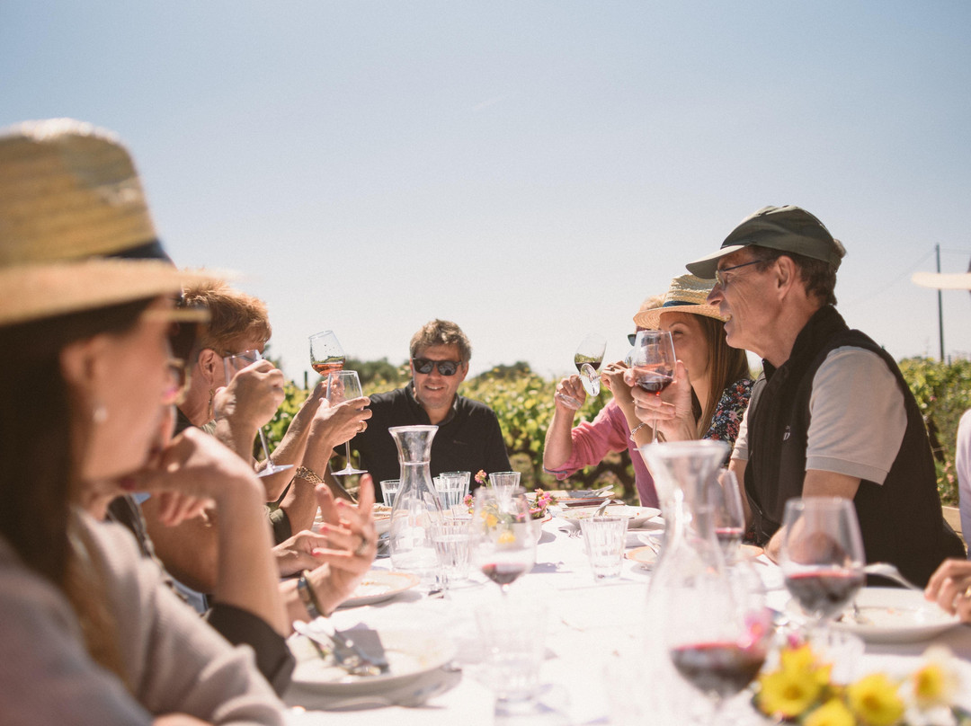 Algarve Food Experience-Silves必去景点