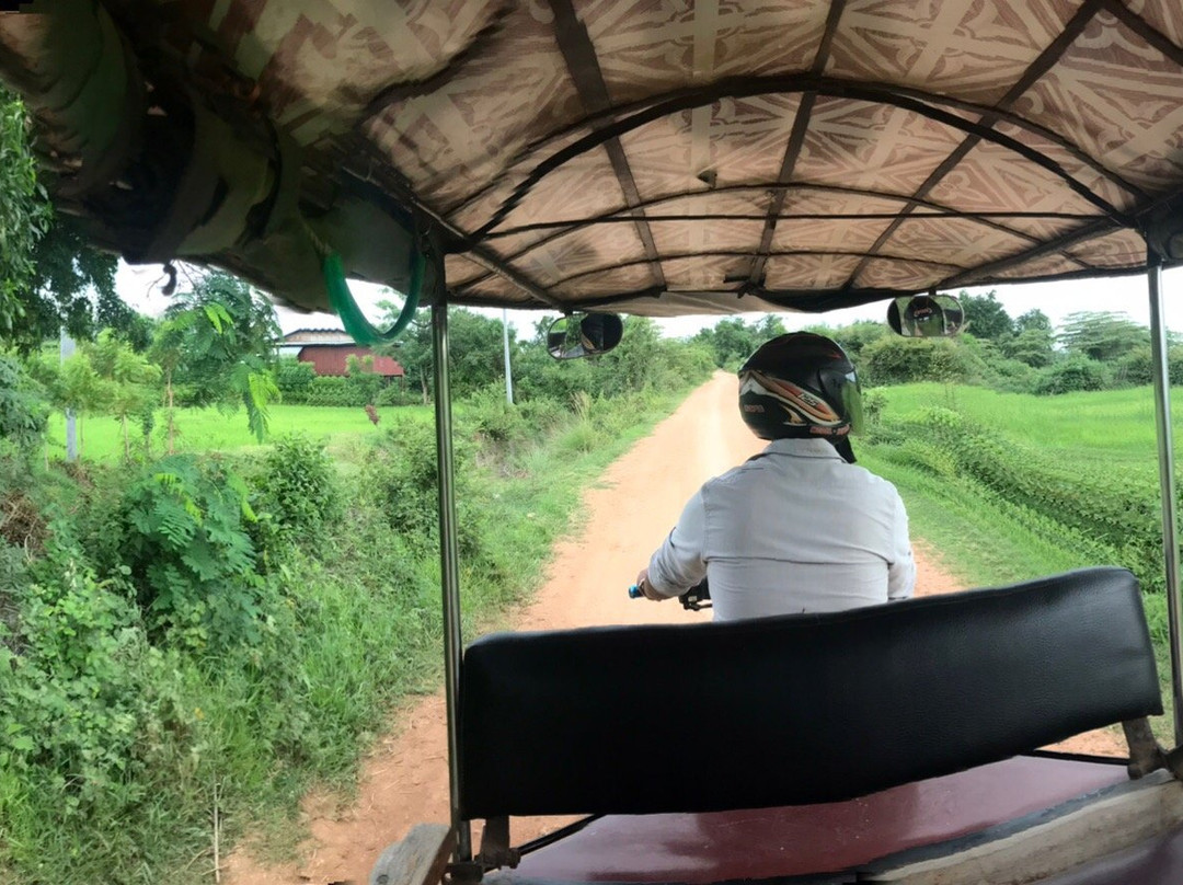 Battambang Tour Lychee