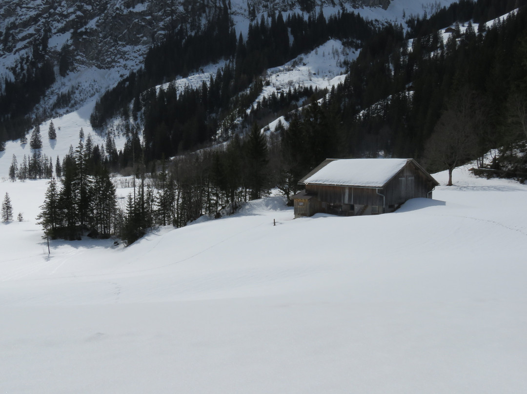 Lake Lauenen - Geltenhütte SAC - Lauenensee景点图片