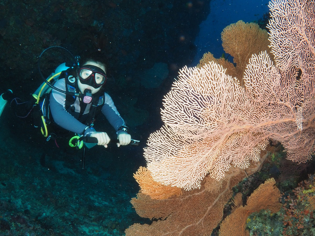 Dive Blue Maldives景点图片