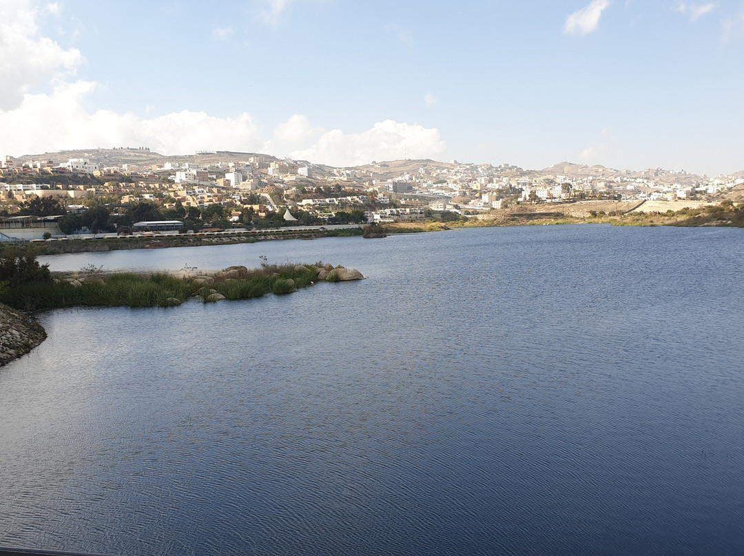 Abha Dam Lake景点图片