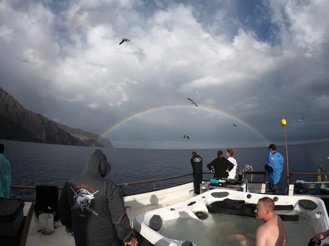Guadalupe Island-下加利福尼亚州必去景点