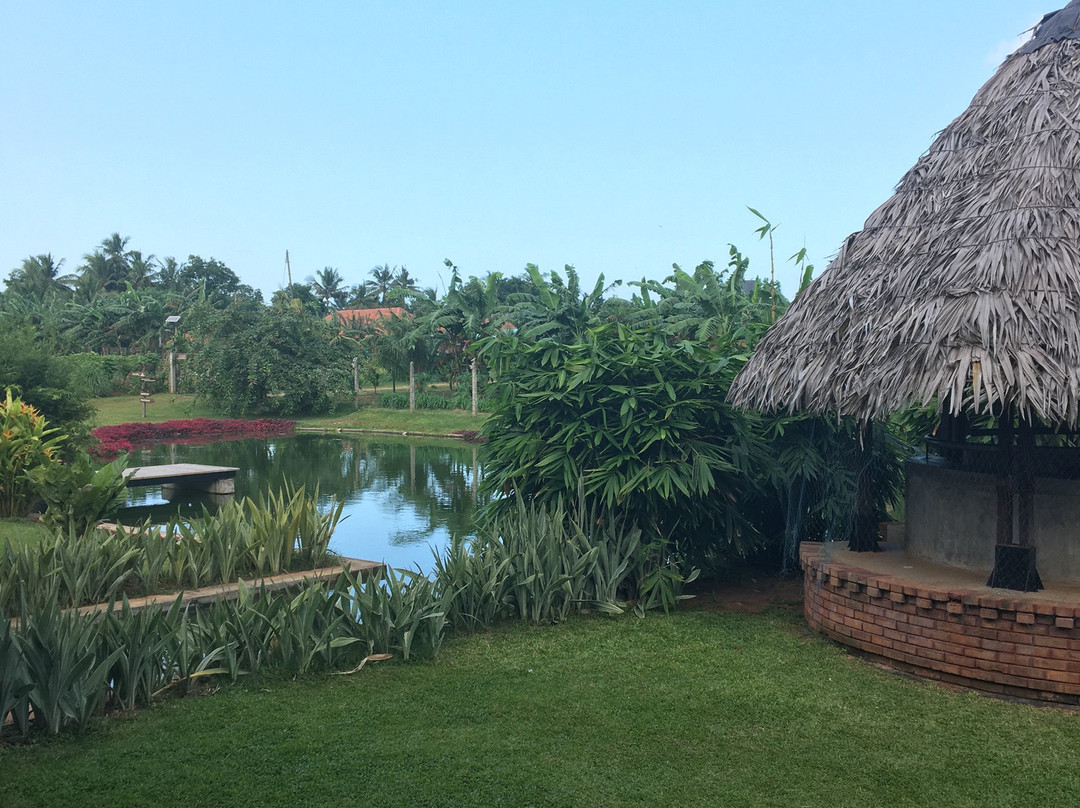 Thinnai Organic Farm主图