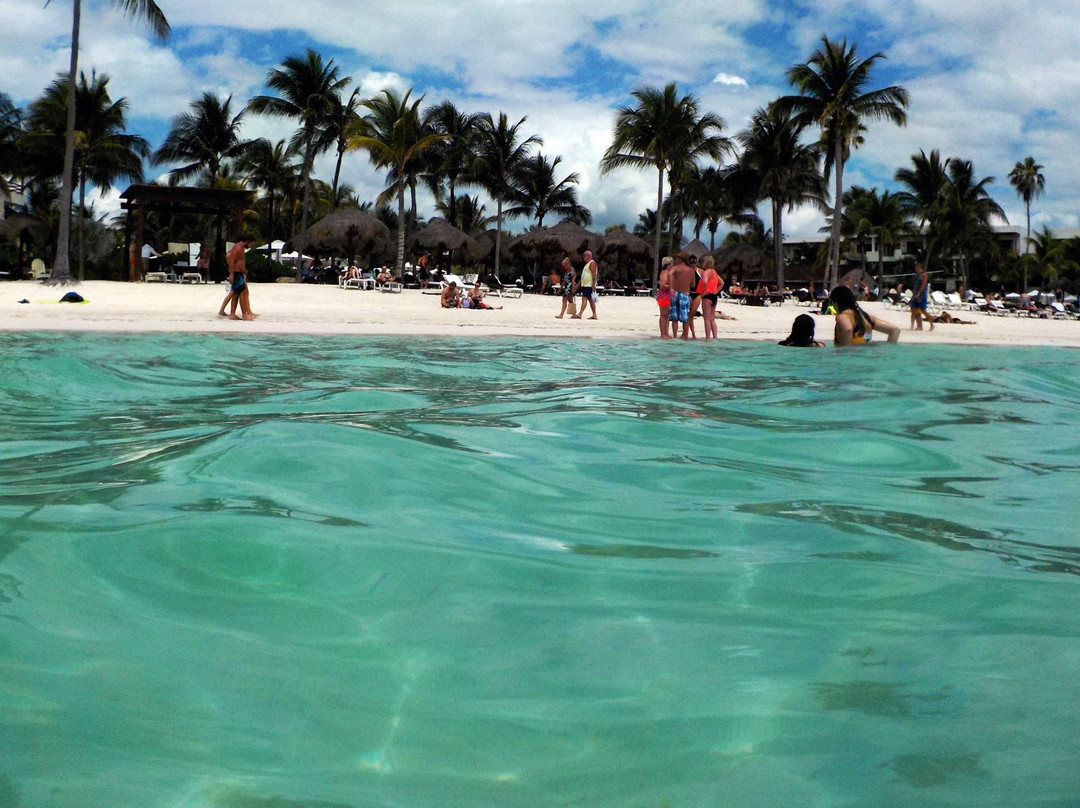 Centro Ecologico Akumal-艾库玛尔必去景点