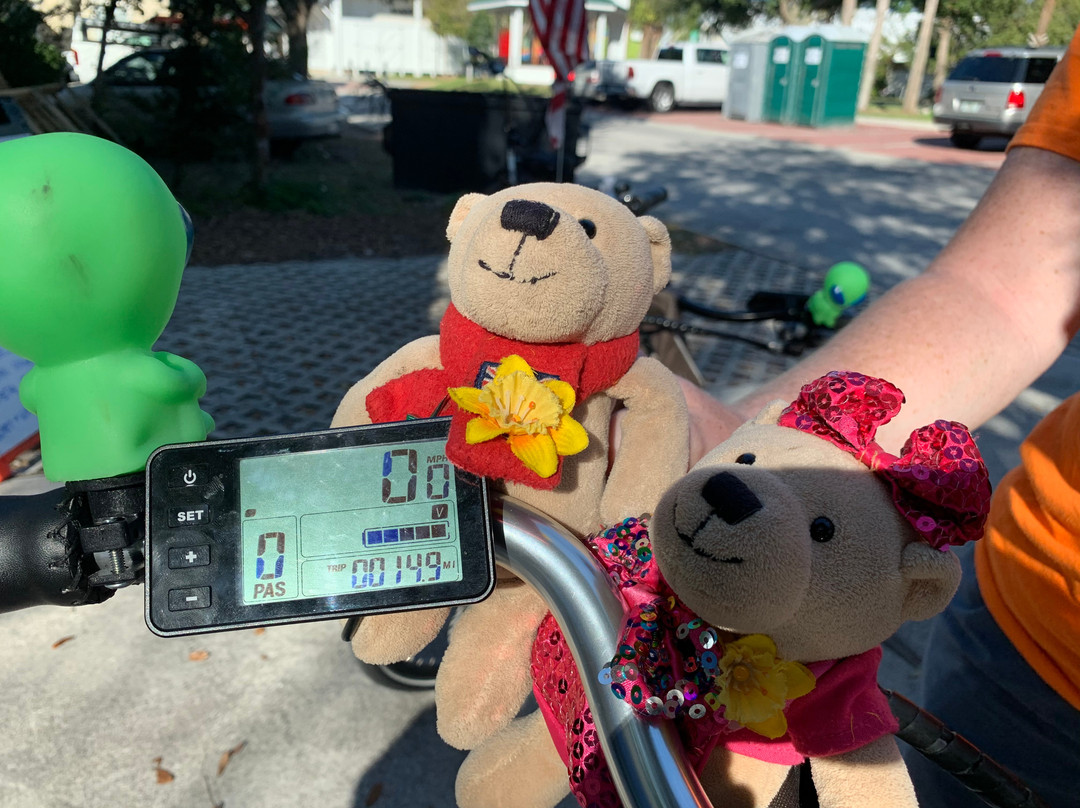 Pedego Electric Bikes-达尼丁必去景点