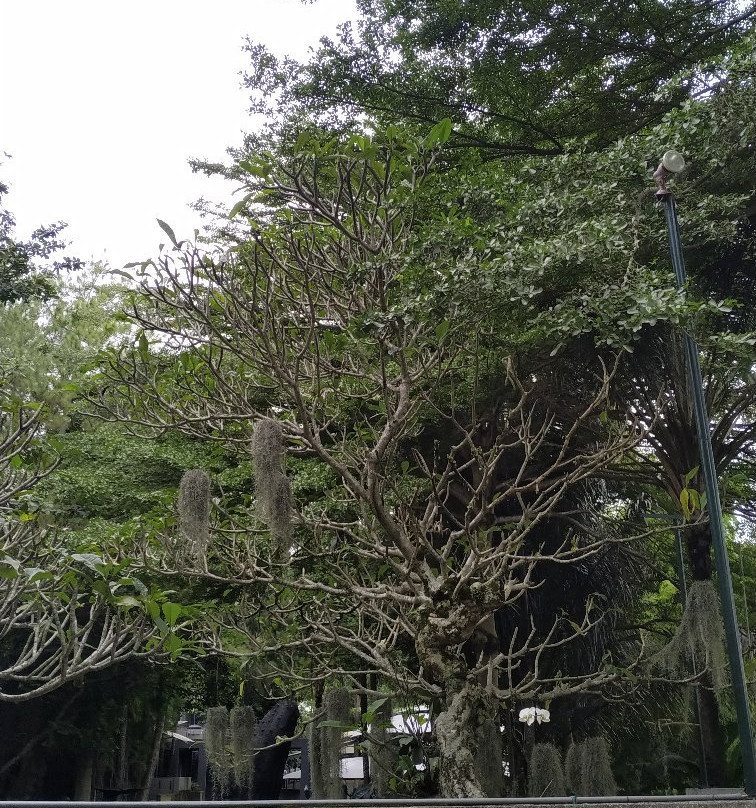 NuArt Sculpture Park-万隆必去景点