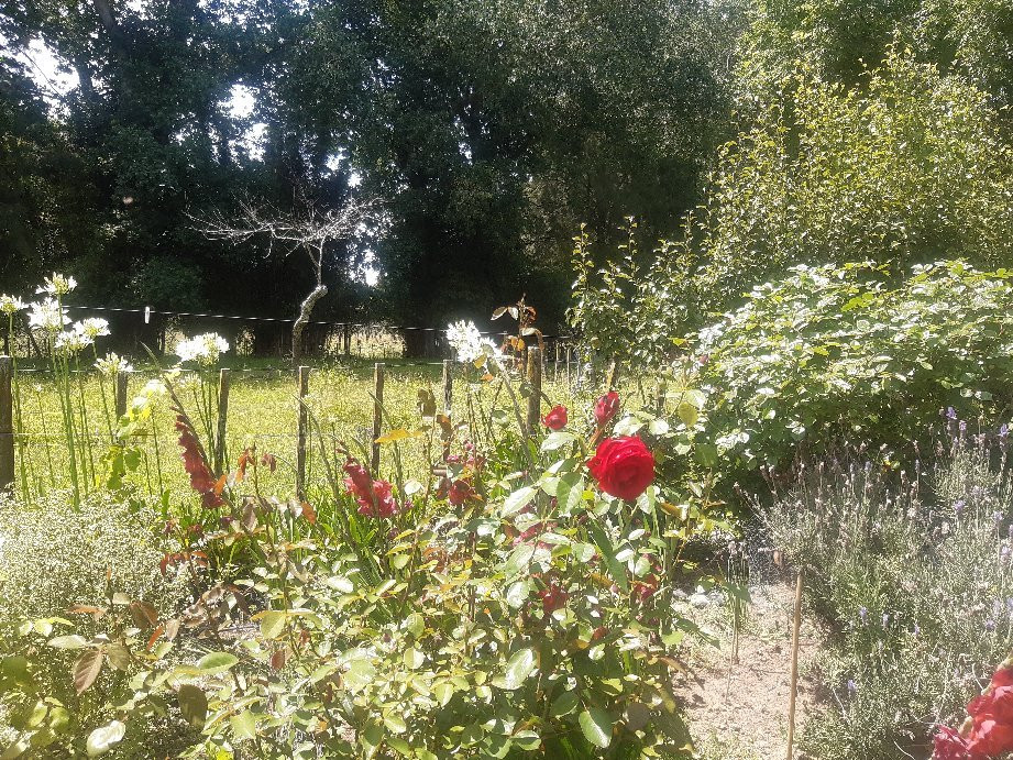 Coast Park Gardens景点图片