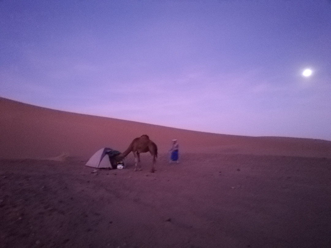 walkwithberbers-morocco-扎古拉必去景点
