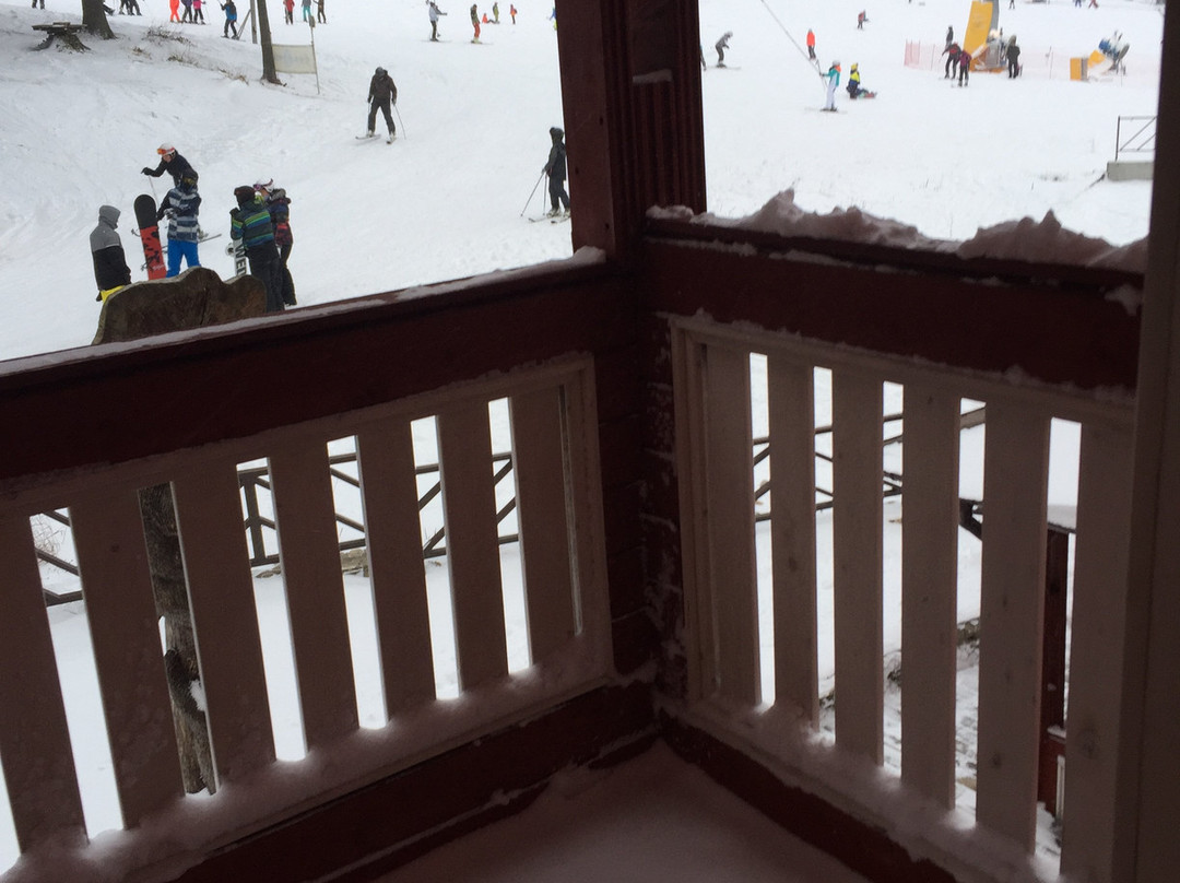 阿尔卑斯酒店主图