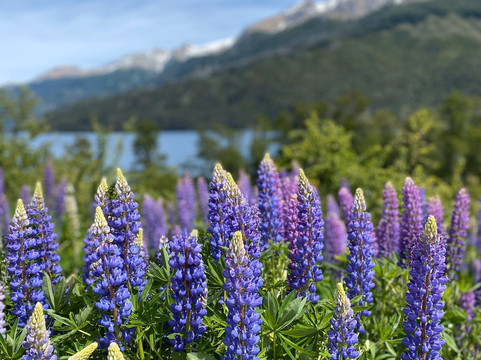 Circuito Grande-圣卡洛斯-德巴里洛切必去景点