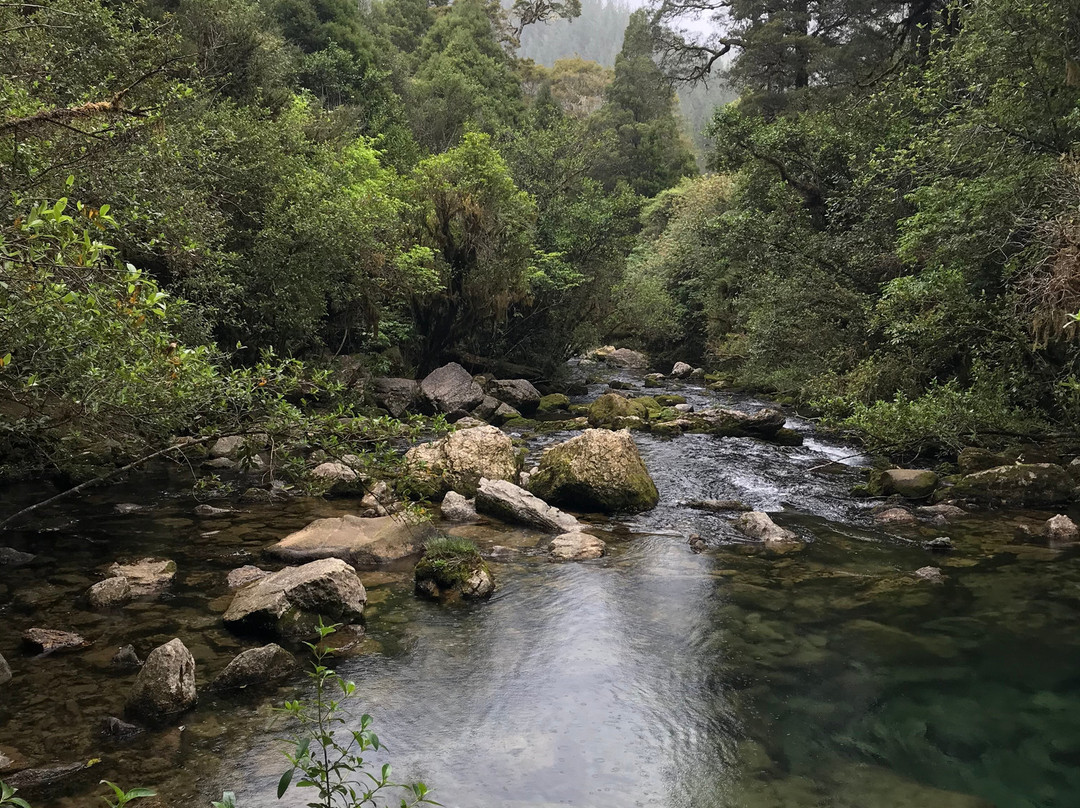 Riwaka Resurgence景点图片