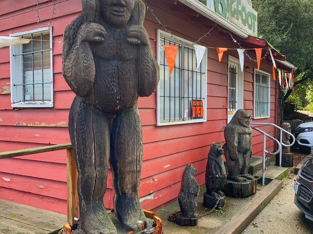 Bigfoot Discovery Museum景点图片