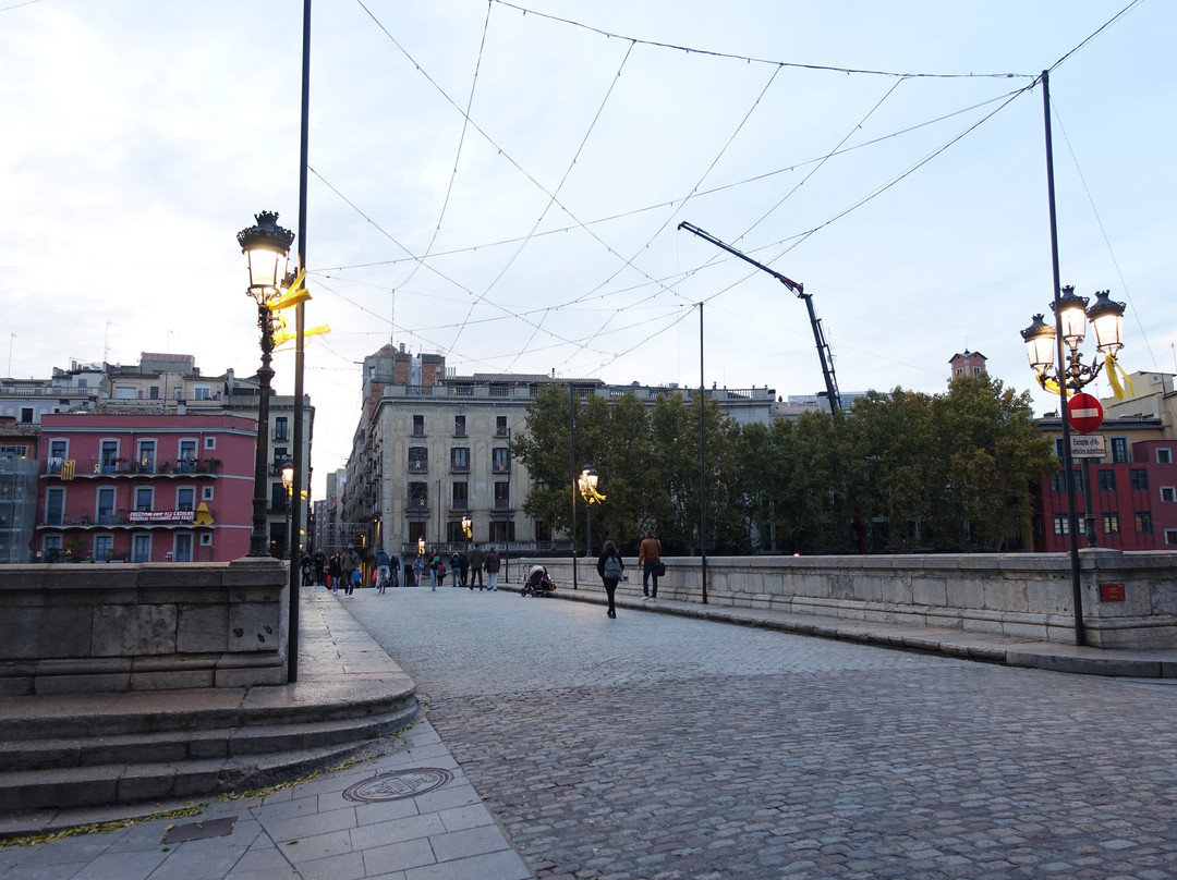 Pont de Pedra景点图片