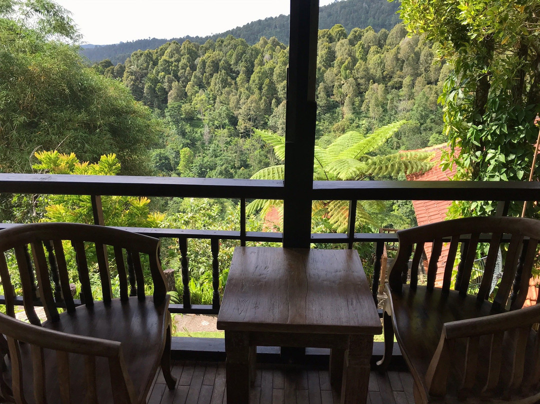 Tai Chi Bali Healing Arts Centre-Kediri必去景点