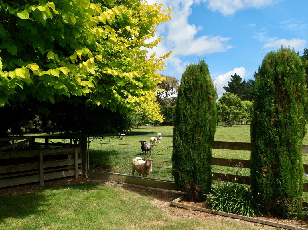 Country Lane Homestay主图