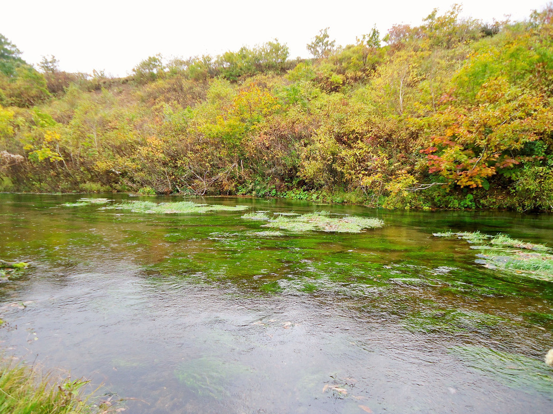 Gudari Swamp-青森市必去景点