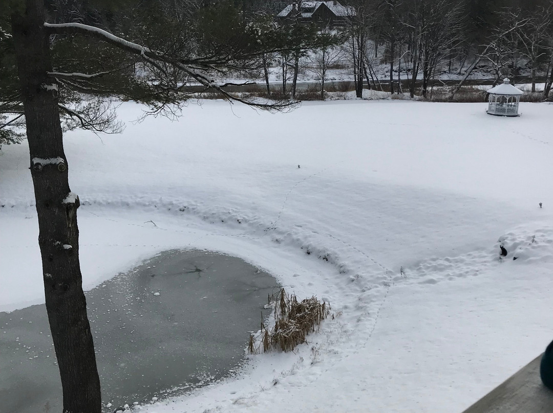 On The River Inn主图